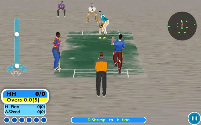 Beach Cricket android App screenshot 0